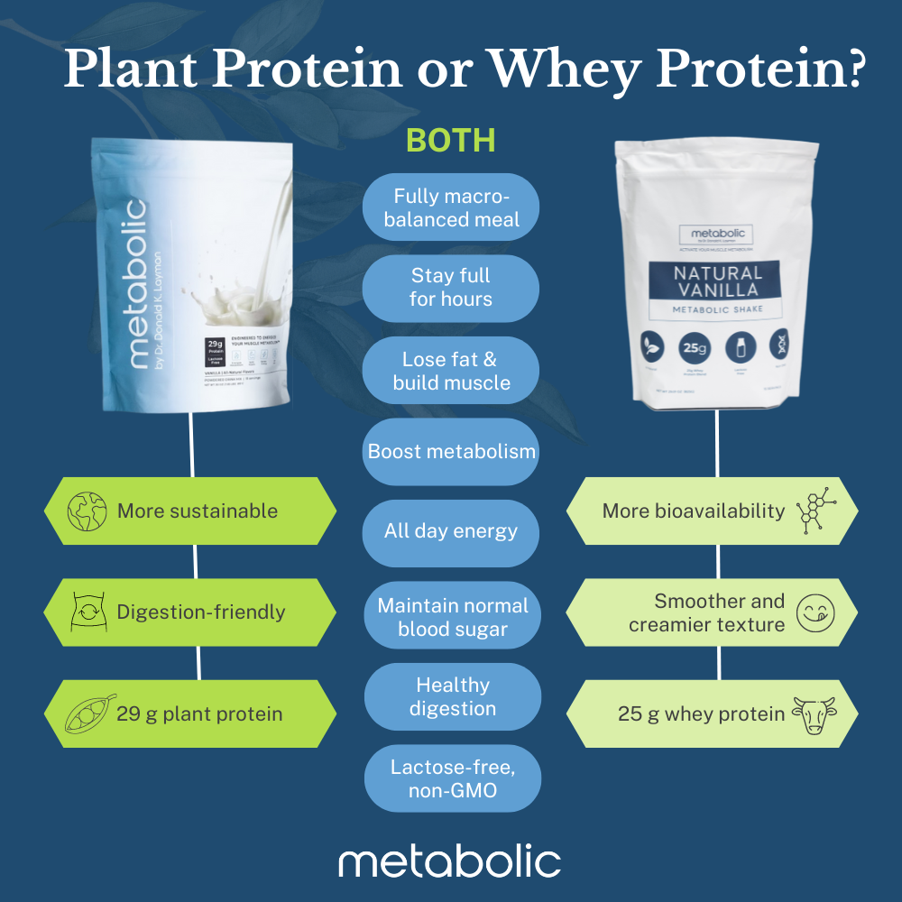 Plant Protein Meal Replacement Shakes + Lift Capsules